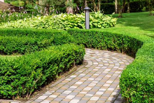 Paved Landscaping in Bothell