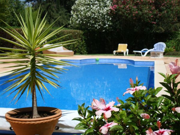 Pool Terrace Renovation in Bothell